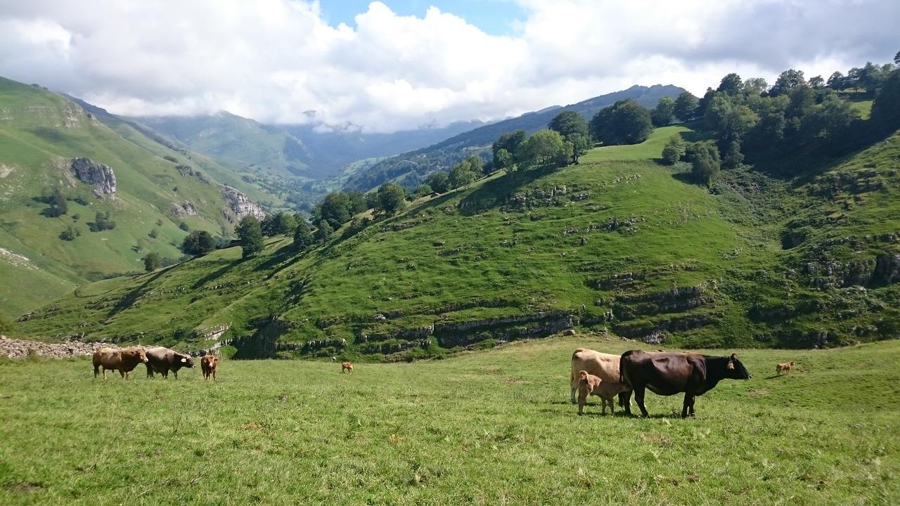 Cabanas Con Encanto San Roque de Ríomiera Esterno foto